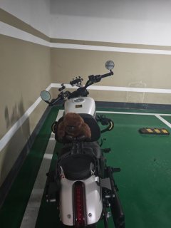 QJMOTOR Flash 250 - ფოტო 3