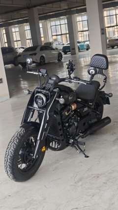 Cyclone AQS600 560 cc - ფოტო 3