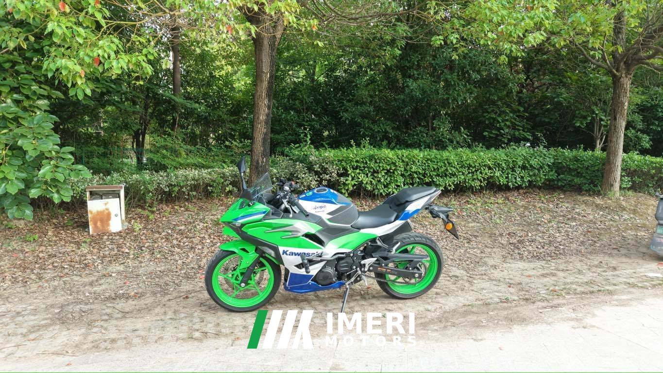 2024 Kawasaki Ninja 500 450 cc