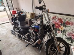 Harley-Davidson Low Rider 1750 cc - ფოტო 3