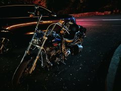Harley-Davidson Low Rider 1750 cc - ფოტო 4