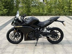 Kayo 250RR Thornbird - фото 2