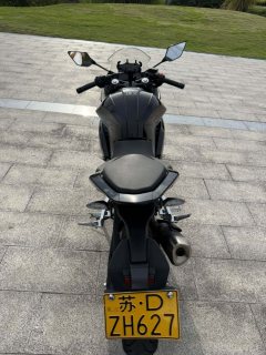 Kayo 250RR Thornbird - фото 8