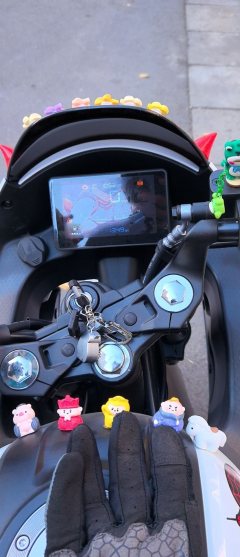 QJMOTOR 150 cc - ფოტო 4