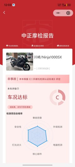 Kawasaki Ninja 1000SX - ფოტო 5