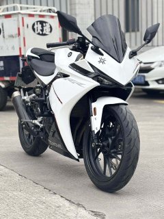 Kayo 250RR Thornbird - photo 1