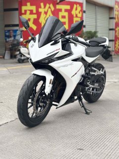 Kayo 250RR Thornbird - photo 2