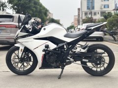 Kayo 250RR Thornbird - photo 5