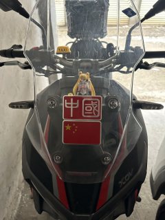 Longjia XDV 250Si - ფოტო 2