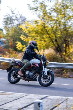 Benelli TNT 300 / BN 302S - photo 1