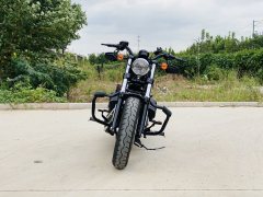 Harley-Davidson Forty-Eight athlete 1200 cc - ფოტო 2