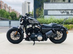 Harley-Davidson Forty-Eight athlete 1200 cc - ფოტო 7