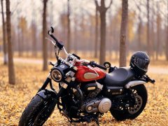 Benda Challenger 300 - ფოტო 2