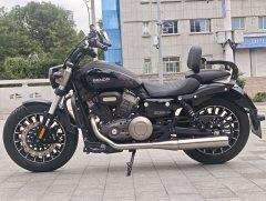 Benda Polestones 03 Gray 300 cc - ფოტო 4