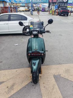 Weiduoliya Sixties 300i - ფოტო 1