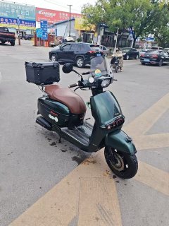 Weiduoliya Sixties 300i - ფოტო 2