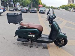 Weiduoliya Sixties 300i - ფოტო 3