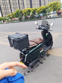 Weiduoliya Sixties 300i - ფოტო 4