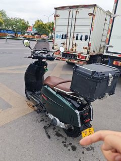 Weiduoliya Sixties 300i - ფოტო 6