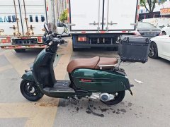 Weiduoliya Sixties 300i - ფოტო 7