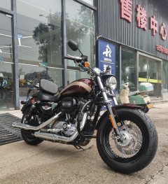 Harley-Davidson 1200 Custom - ფოტო 1