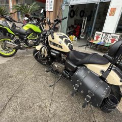 QJMOTOR Flash 300 - ფოტო 5