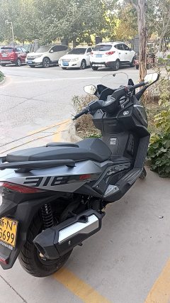 Ariic 318GT 350 cc - фото 5
