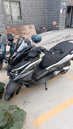 Ariic 318GT 350 cc - фото 6