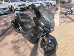 QJMOTOR Hong 350 - фото 2