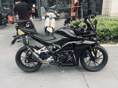 Kayo 250RR Thornbird - photo 3