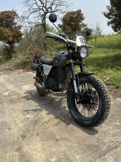 Qingqi U-Knight Bigfoot Crawler 250 cc - photo 1