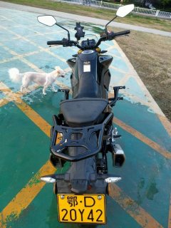 Haojue XCR300 - ფოტო 4