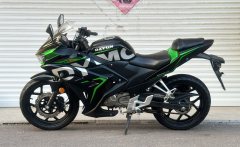 Dayun Tianxun 200R - ფოტო 3