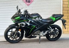 Dayun Tianxun 200R - ფოტო 6