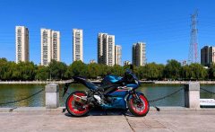 Yamaha YZF-R3 320 cc - ფოტო 1