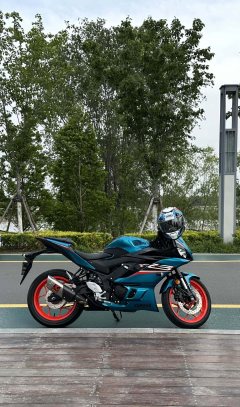 Yamaha YZF-R3 320 cc - ფოტო 6