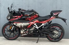 CFMOTO 250SR - ფოტო 3
