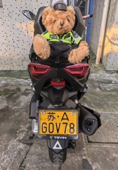 Tianying TX 250 cc - ფოტო 3