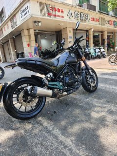 Benelli Lion Cub Leoncino 500 - ფოტო 6