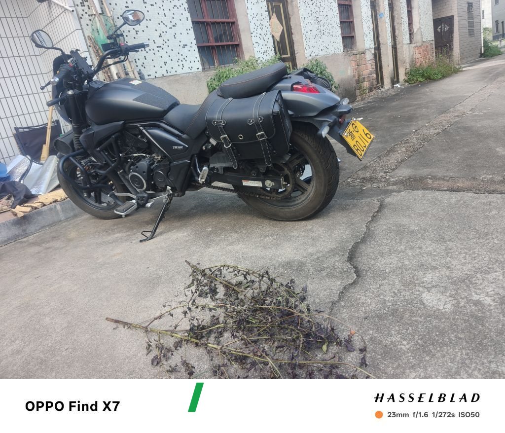2022 Haojue TR300