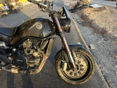 Benelli Lion Cub Leoncino 500 - фото 2