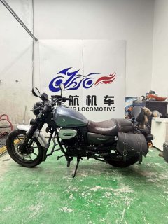 Cyclone RA2 250 cc - ფოტო 4