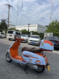 Weiduoliya Sixties 150i - ფოტო 6