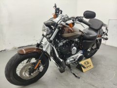 Harley-Davidson 1200 Custom - photo 1