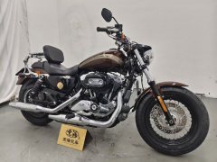 Harley-Davidson 1200 Custom - photo 3
