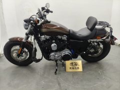 Harley-Davidson 1200 Custom - photo 7