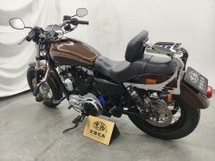 Harley-Davidson 1200 Custom - photo 8