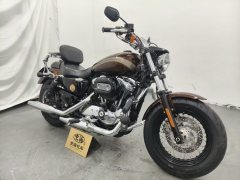 Harley-Davidson 1200 Custom - photo 9