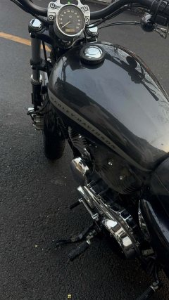 Harley-Davidson 1200 Custom - ფოტო 2