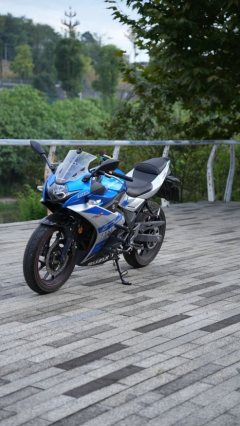 Haojue Suzuki GSX250R - фото 3